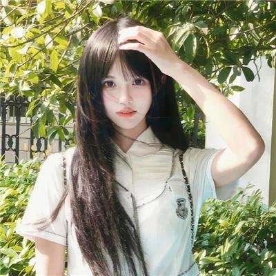 鲸鱼之友